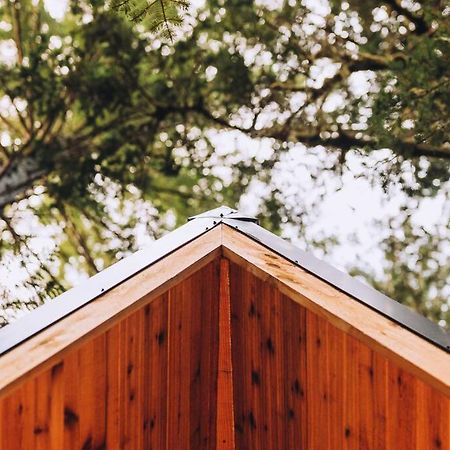 Villa The Treeframe Cabin Index Exterior foto